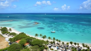 Aruba Strand Palmen symbol Foto iStock Steve Link